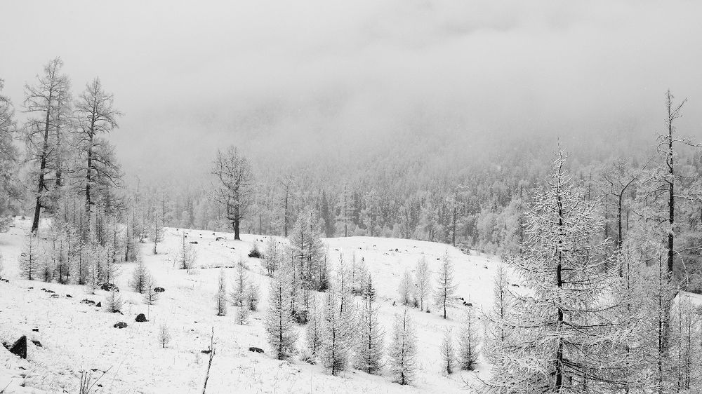 Photograph by Александр Потапов