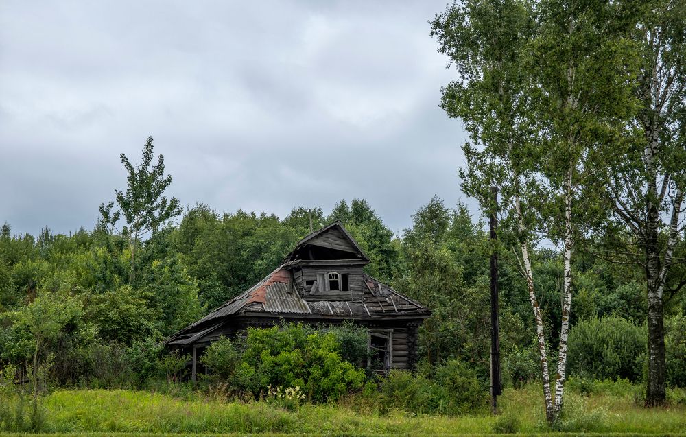 Photograph by Сергей Христинич