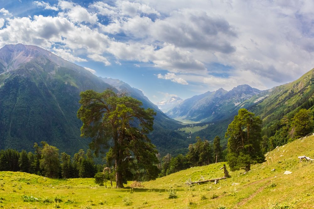 Photograph by Алексей