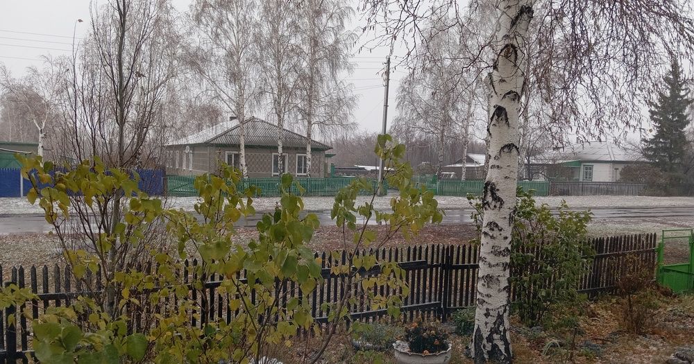 Photo #10125551