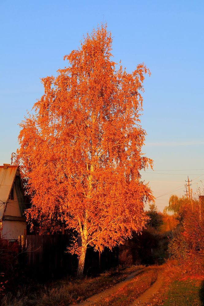 Photograph by Юрий Варюхин