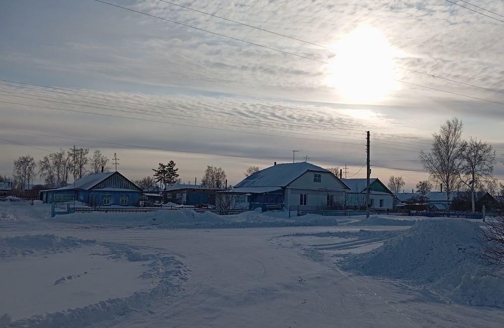 Photo #10125567