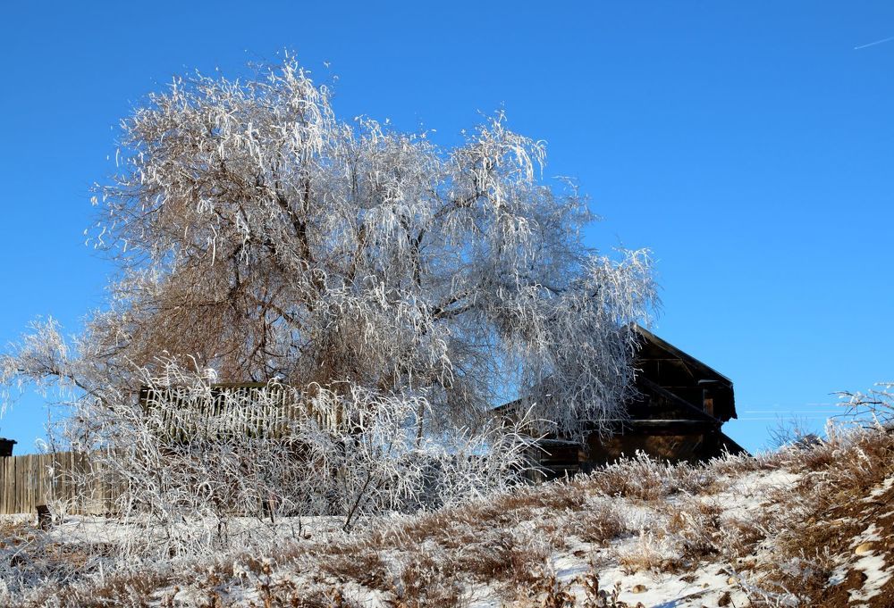 Photograph by Юрий Варюхин