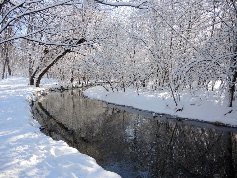 Photograph by София Гавриловна Вотякова