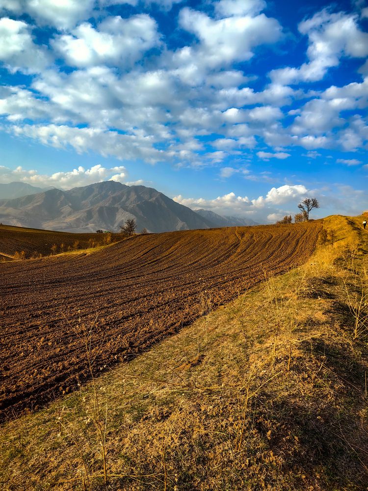 Photograph by Oleg Guchgeldiyev