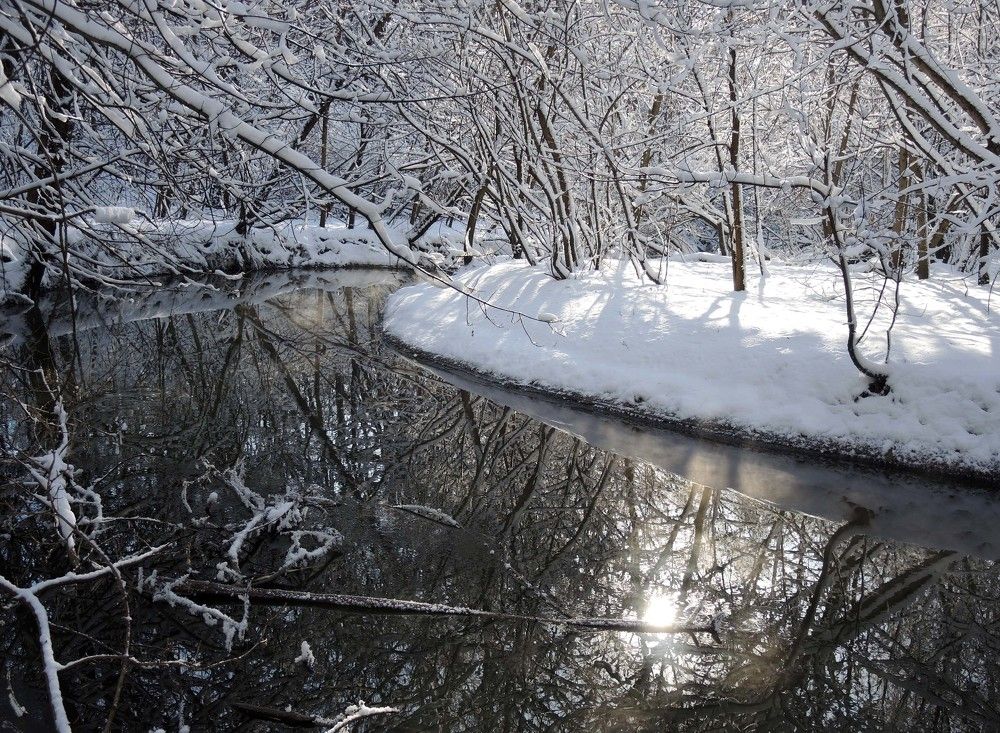 Photograph by София Гавриловна Вотякова
