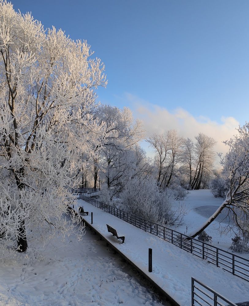 Photo #10125646