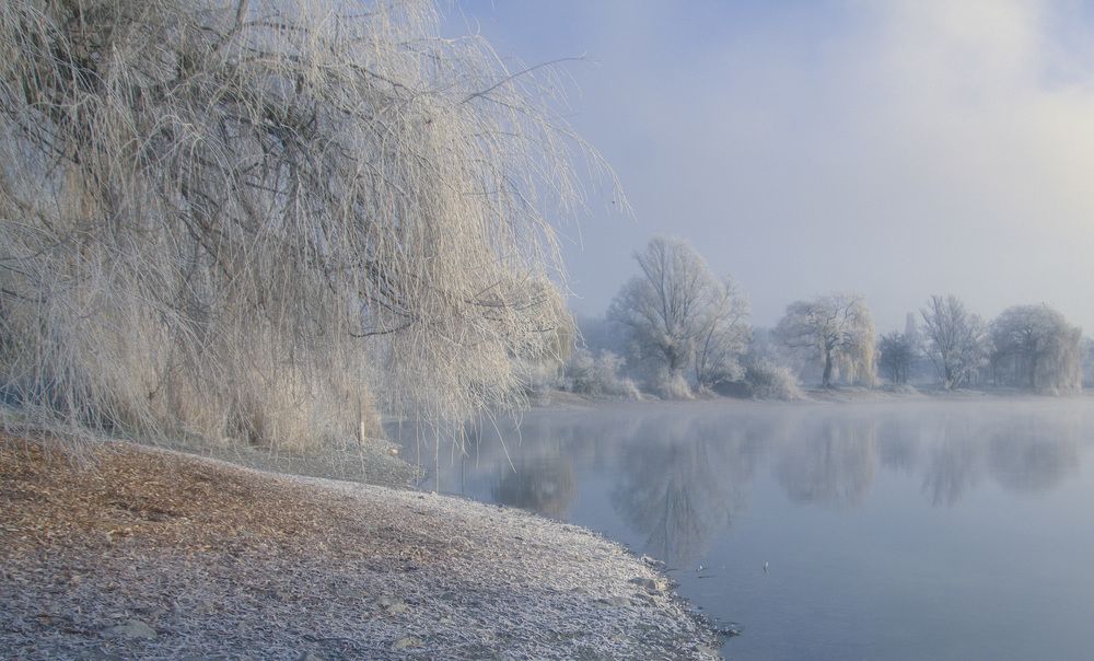 Фотография автора Александр