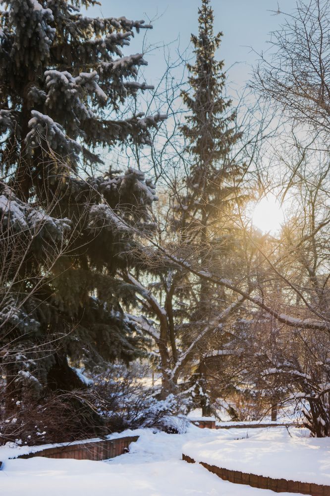 Photograph by Любовь Дворникова