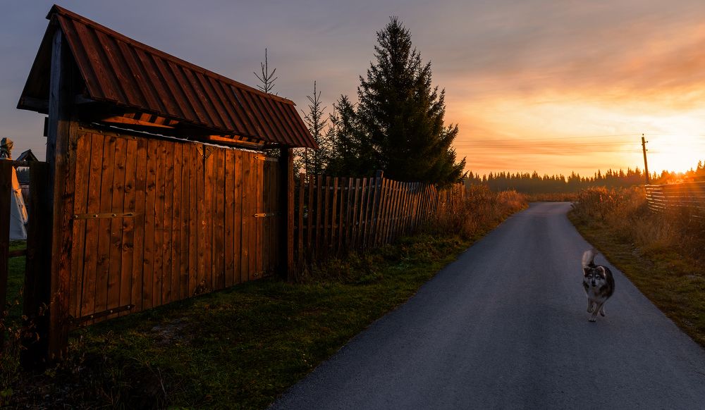 Photograph by Сергей Скоробогатов