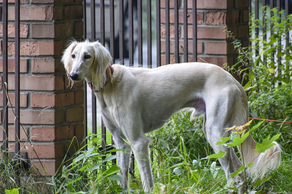 Photograph by Eva Kurkjian