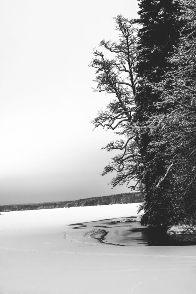 Photograph by Dmitrii Zabuga