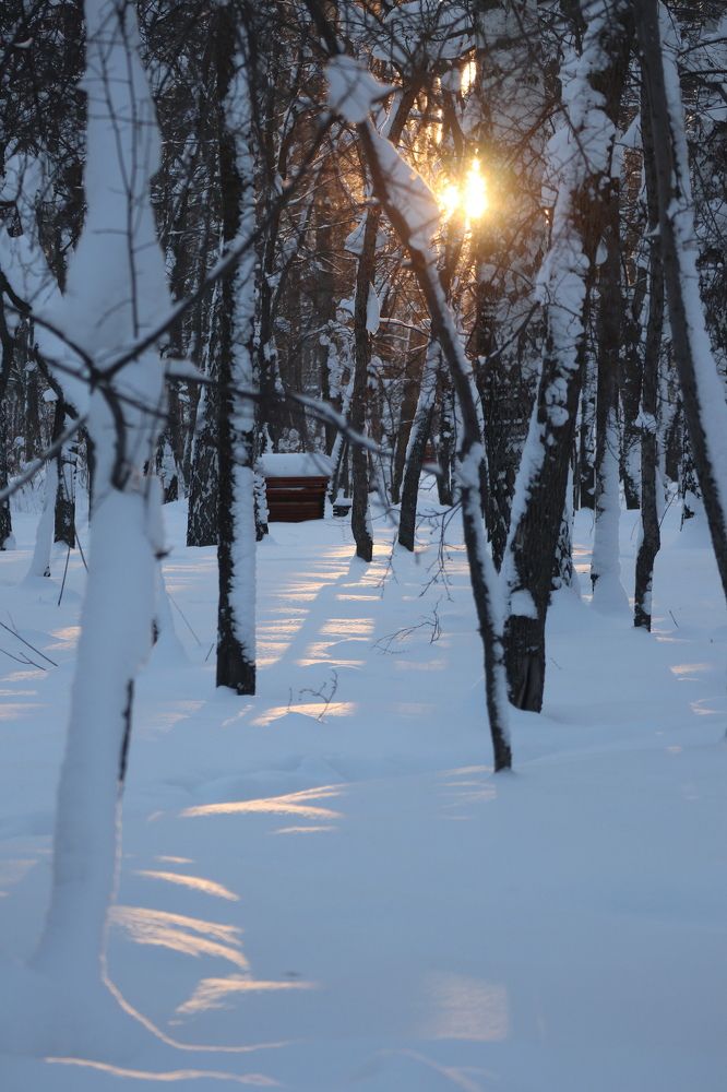 Photograph by Мария Глухова