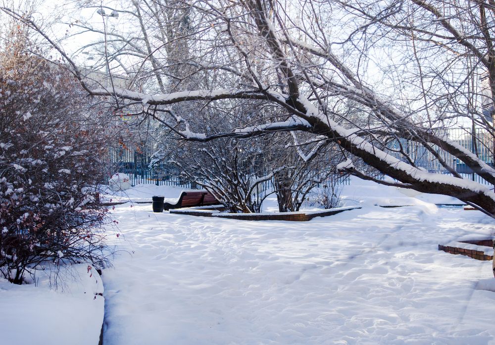 Photograph by Любовь Дворникова