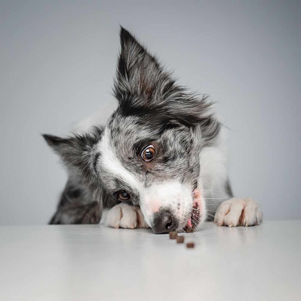 Photograph by Татьяна Полякова