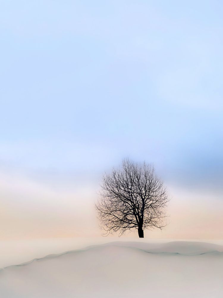 Фотография автора Дарья Кузнецова