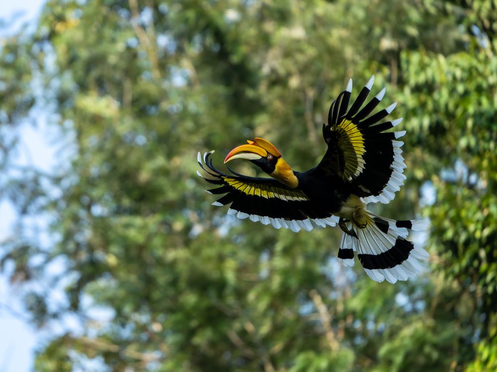 Photograph by Vipin P C