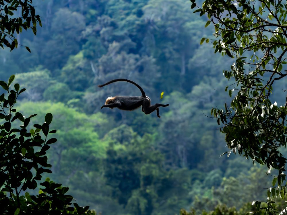 Photograph by Vipin P C