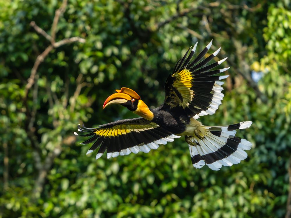 Photograph by Vipin P C