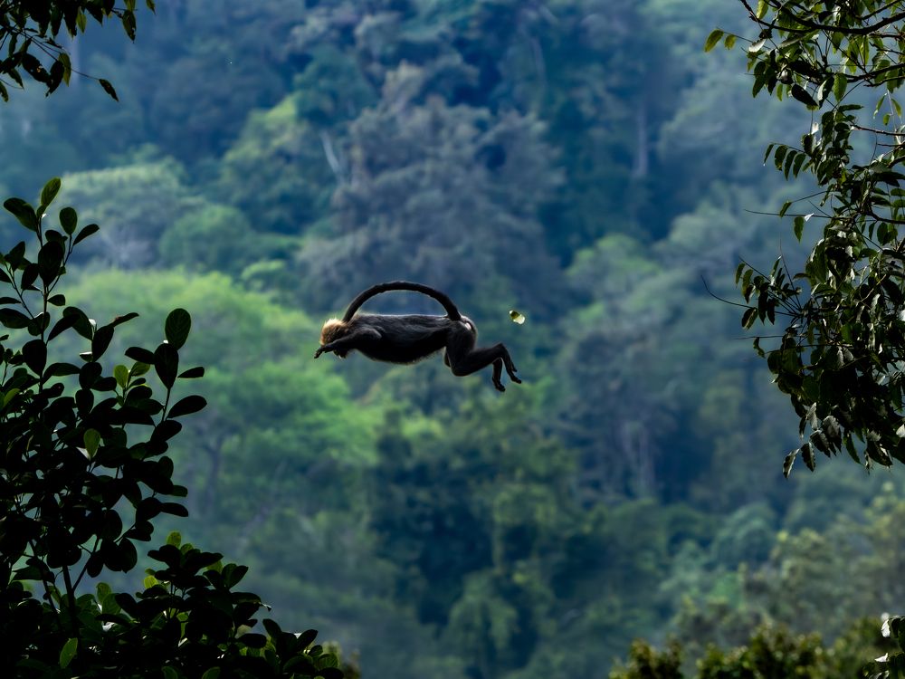 Photograph by Vipin P C