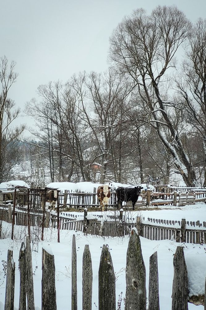 Photograph by Анна Григорьева