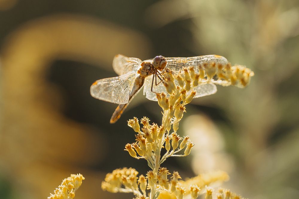 Photograph by Анна Бобкова