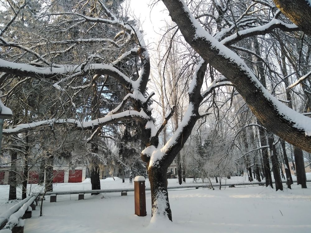 Photograph by Надежда Титова