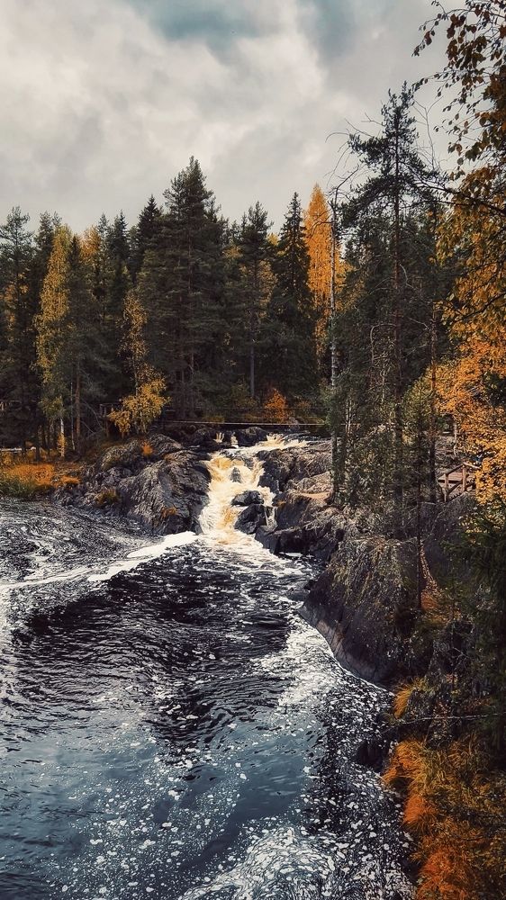 Photograph by Ольга Волкова