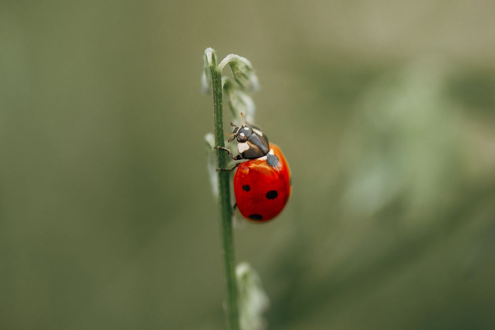 Photograph by Анна Бобкова