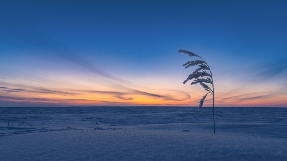 Photograph by Антон Дроздов