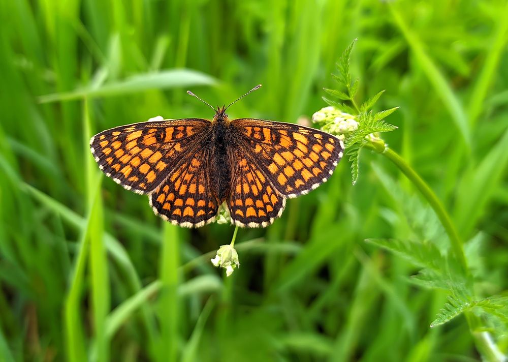 Photograph by Борис Новиков