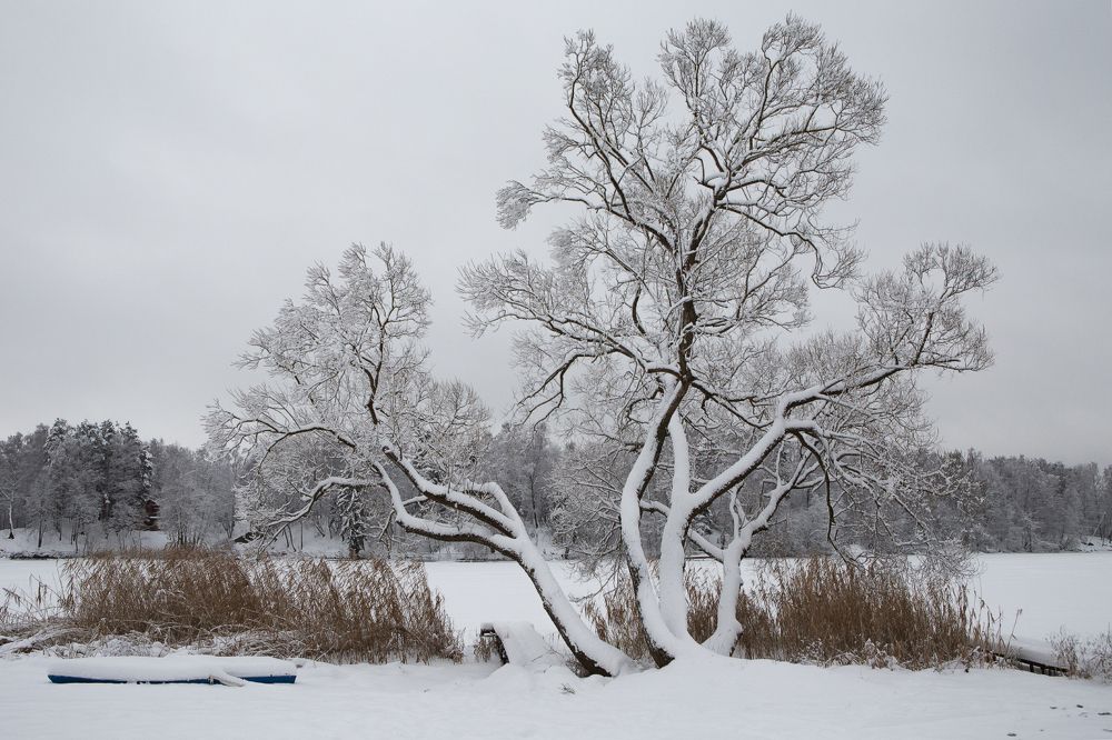 Фотография автора Анатолий