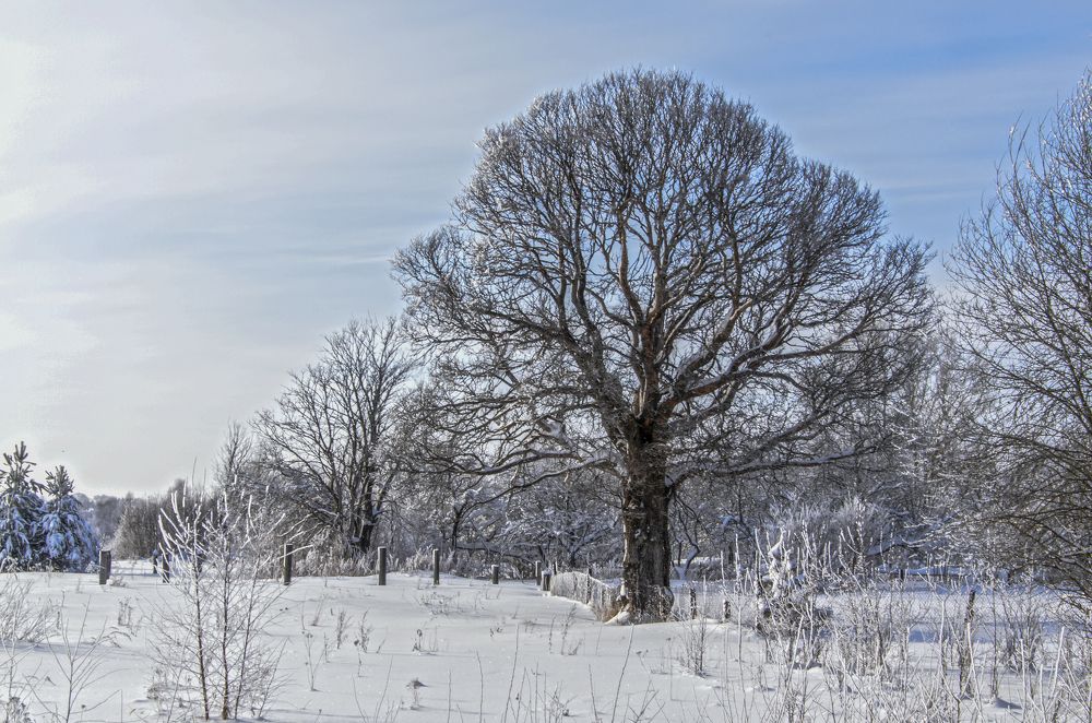 Photograph by Андрей К. Белов