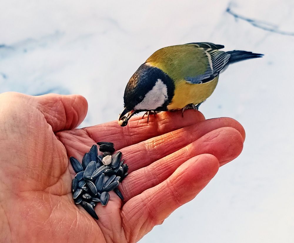 Photograph by Сергей Петров