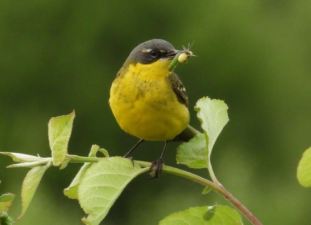Photograph by Владимир Джерихов