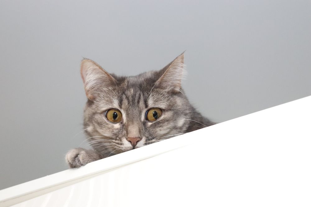 Photograph by Марина