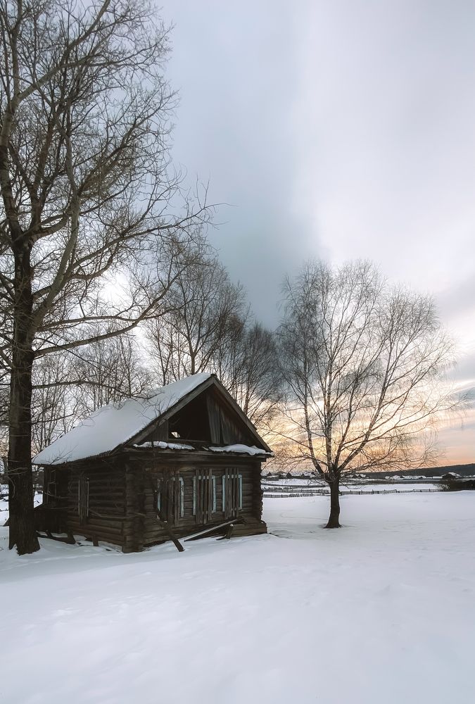Фотография автора Дарья Кузнецова
