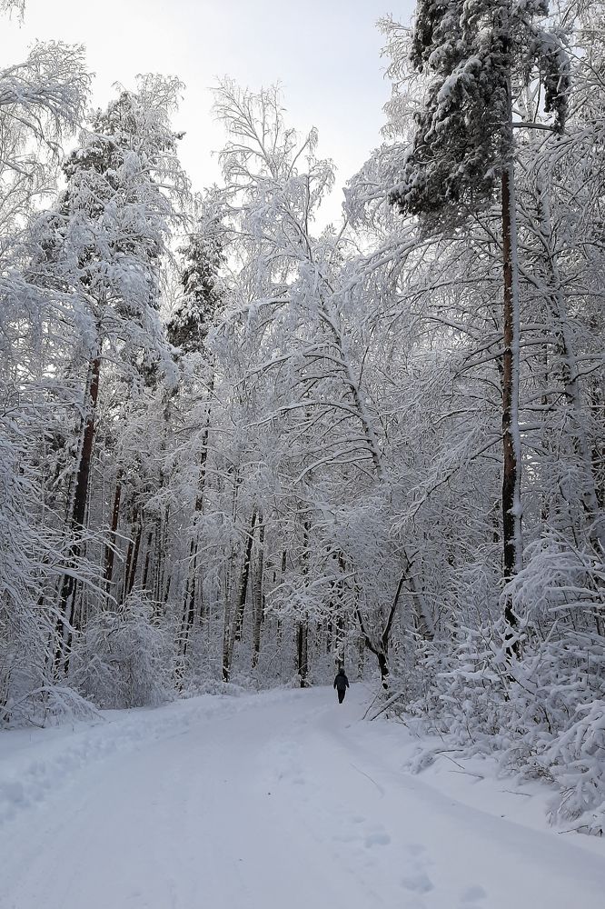 Photograph by Марина Слепова