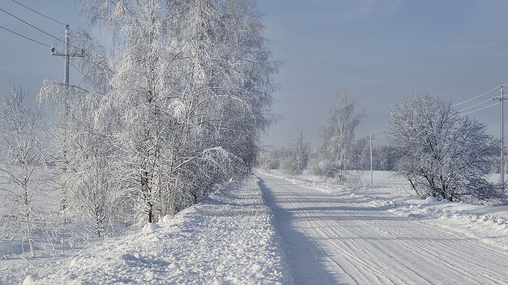 Photograph by Алексей Парамонов