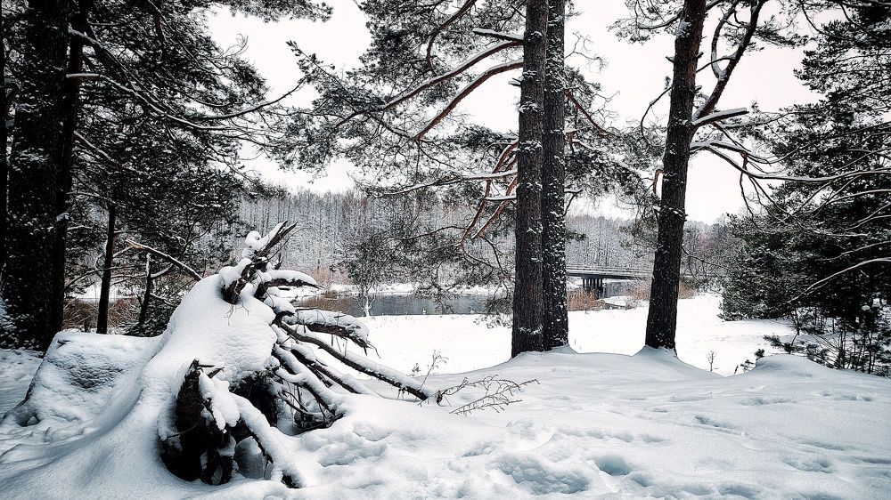 Photograph by Евгений Белов