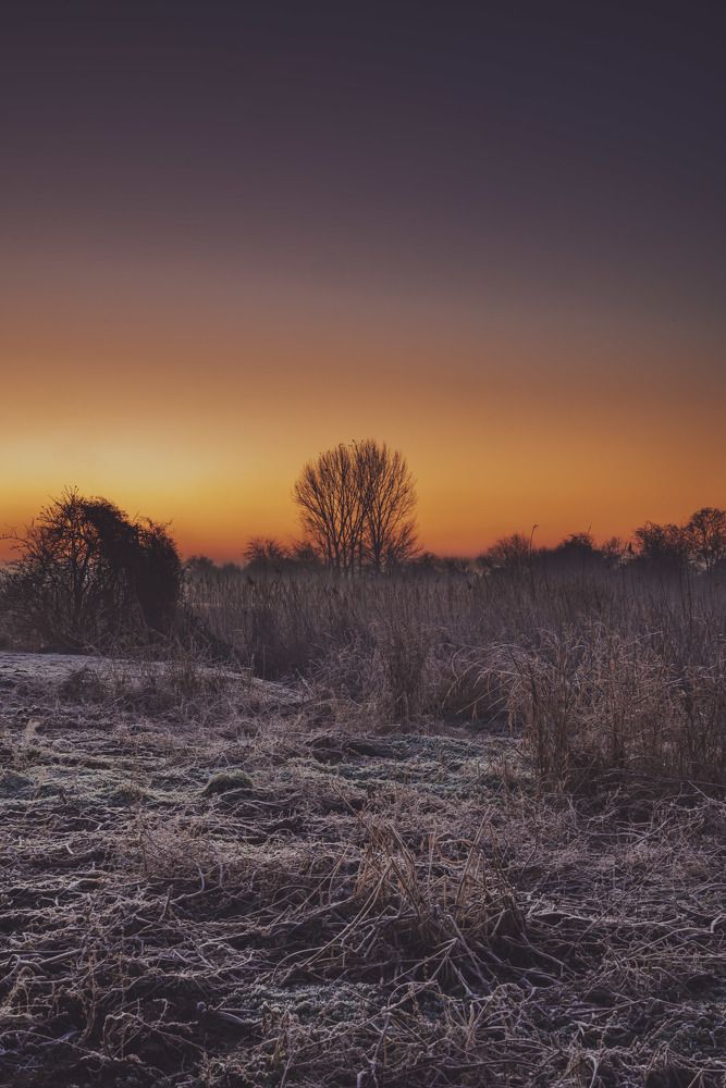 Photograph by Omer Gojak