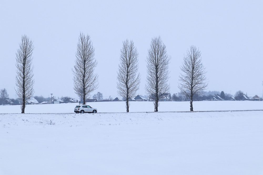 Photograph by Мария Самолевич