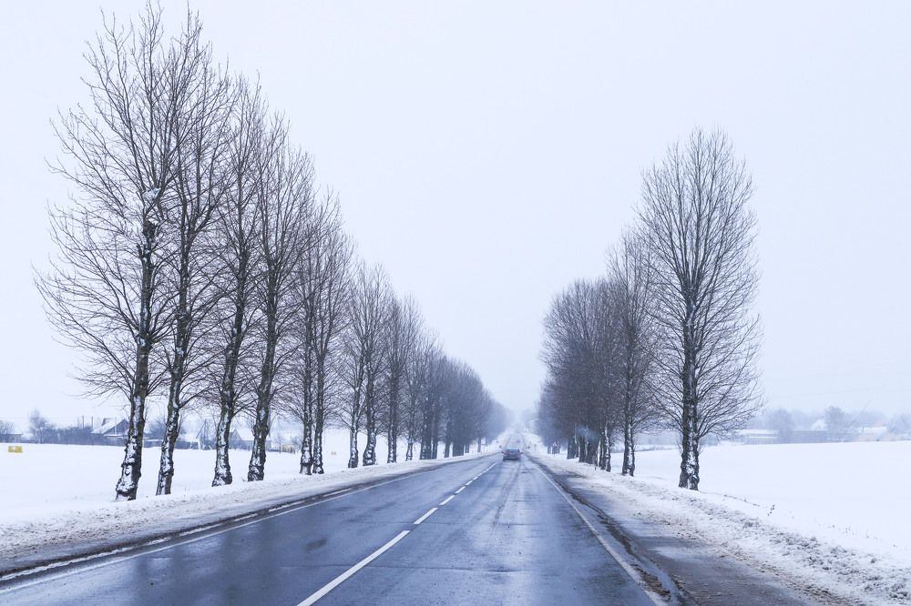 Photograph by Мария Самолевич