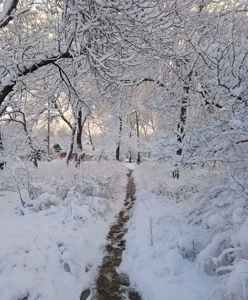 Photograph by Анна Напримерова