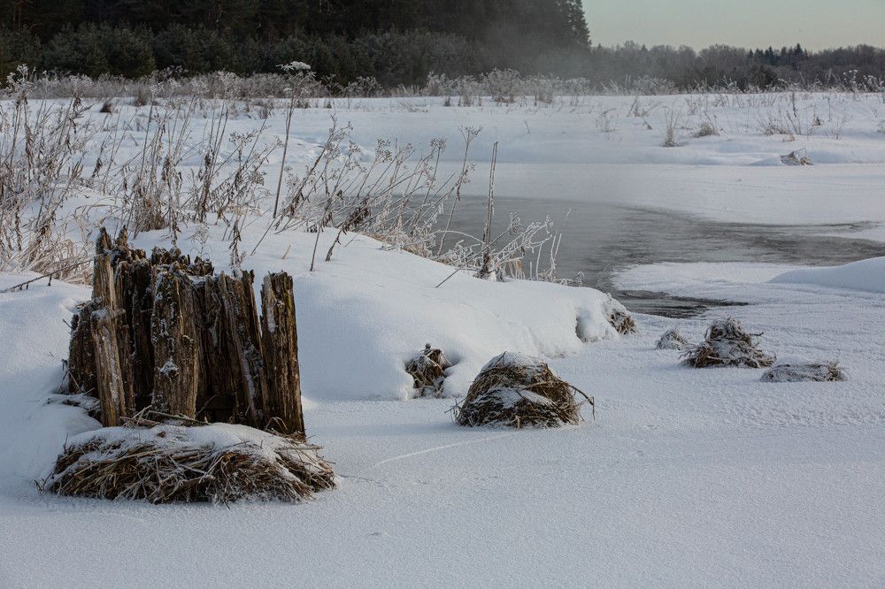 Photograph by Александр Ермоленко