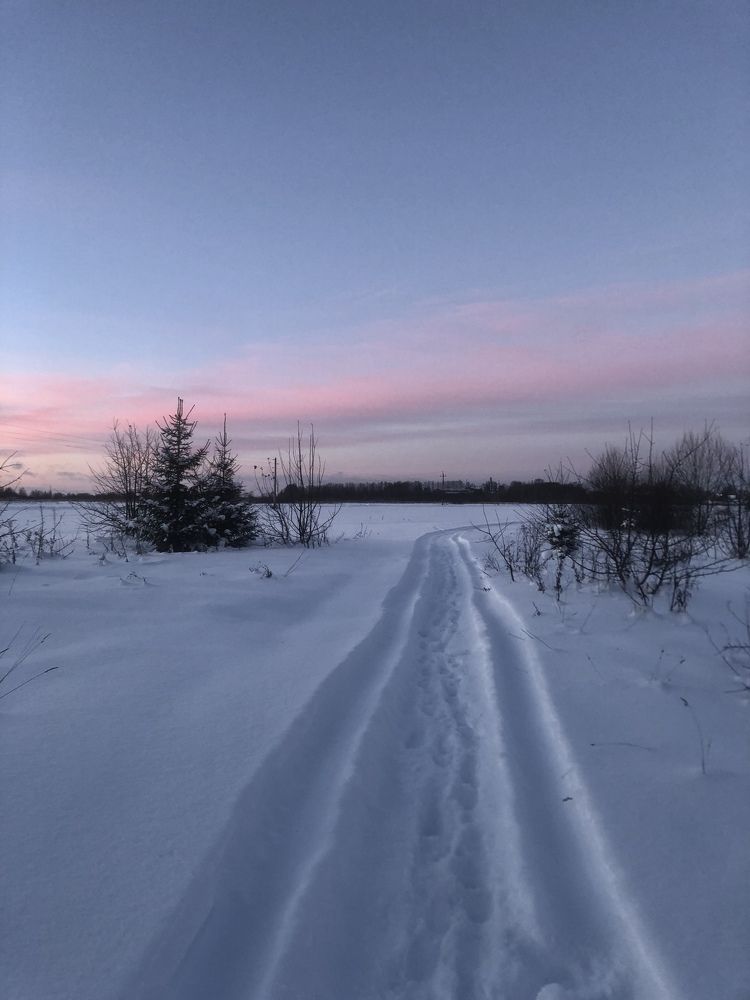 Photograph by Белехова Светлана