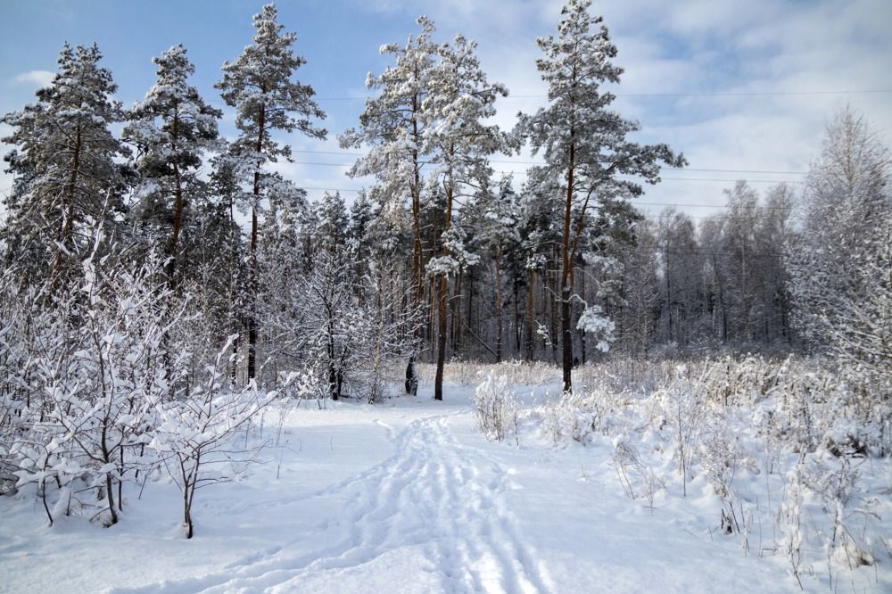 Photograph by Дмитрий Тимин