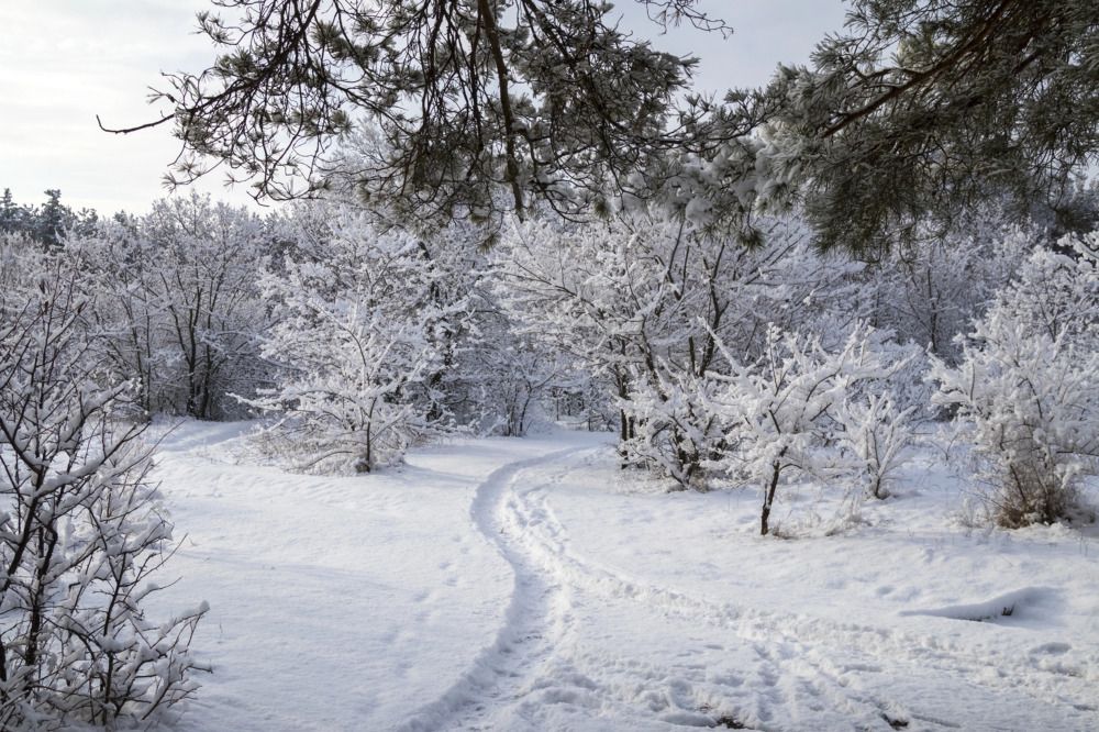Photograph by Дмитрий Тимин