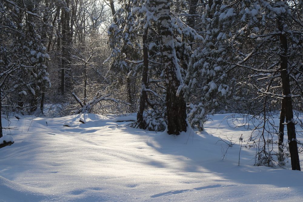 Photograph by Андрей Хитрун