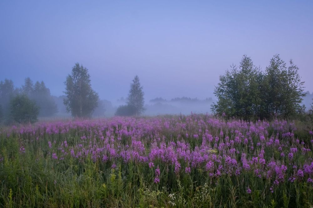 Photograph by Олег Дорошенко